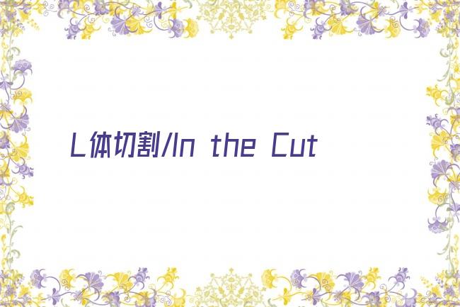 L体切割/In the Cut剧照